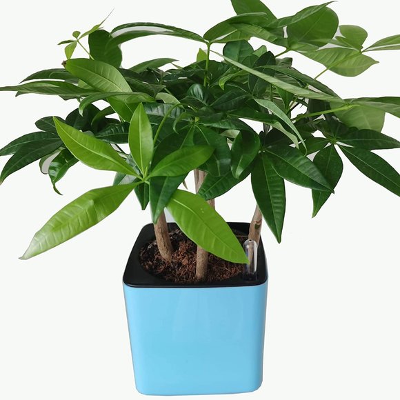 NWT VERTIGREEN Self Watering Planters for Indoor Plants - Set of 4 (Blue) - Picture 7 of 7